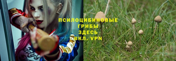 крисы Богданович
