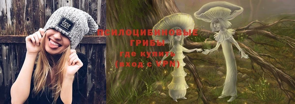 крисы Богданович