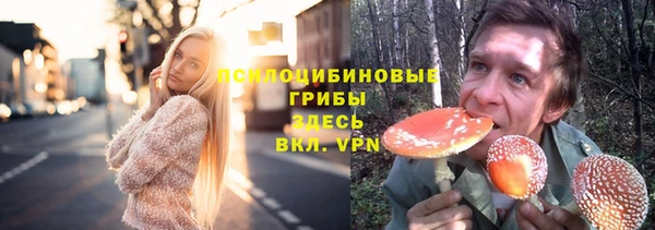 a pvp Богородицк